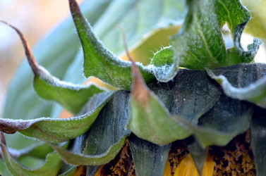 Similar image 22404365