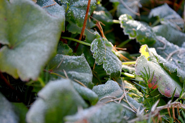 Similar image 22404366