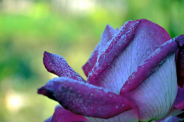 Similar image 22404367