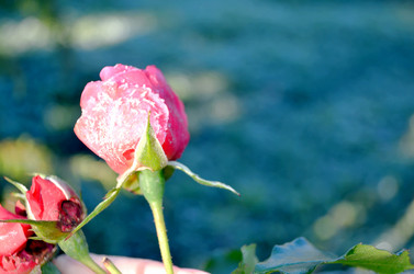 Similar image 22404368