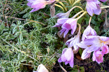 Similar image 22404369