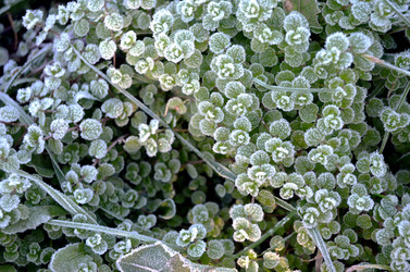 Similar image 22404372