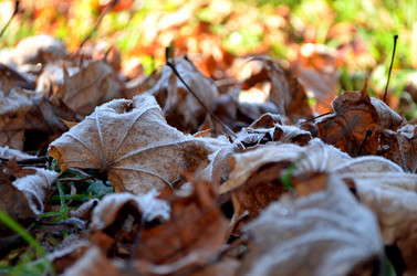 Similar image 22404375