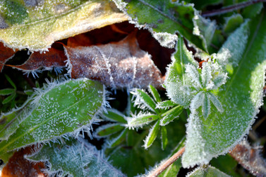 Similar image 22404376