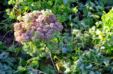 Similar image 22404377