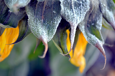 Similar image 22404378