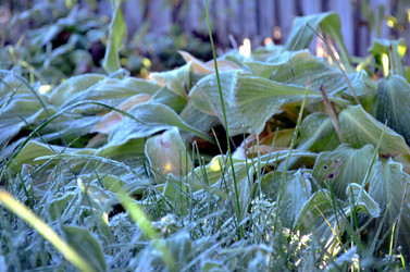 Similar image 22404379