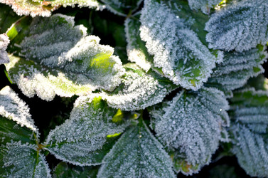 Similar image 22404381