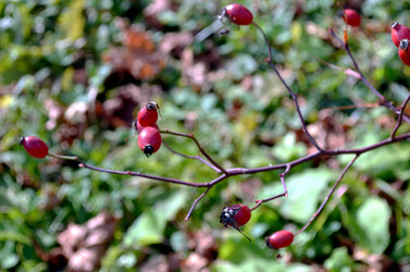 Similar image 22404382