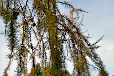 Similar image 22404383