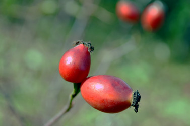 Similar image 22404385