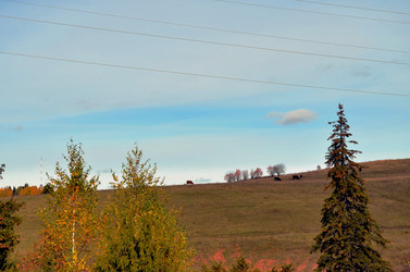 Similar image 22404386