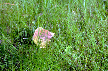 Similar image 22404388