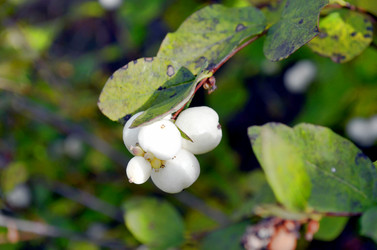 Similar image 22404390