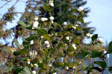 Similar image 22404392