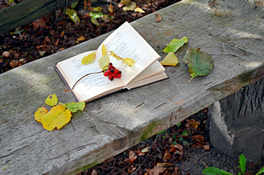 Similar image 22404398