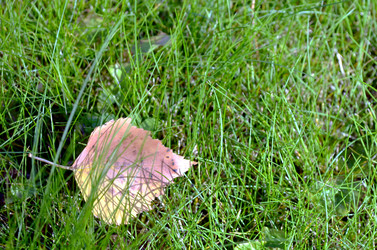 Similar image 22404400