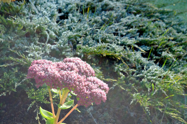 Similar image 22404403