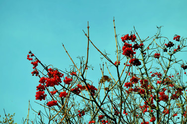 Similar image 22404404