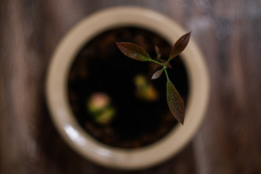 Similar image 22410446