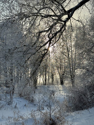 Similar image 22403663