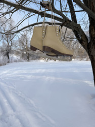 Similar image 22403664