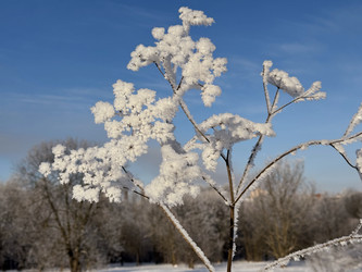 Similar image 22403668