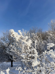 Similar image 22403670