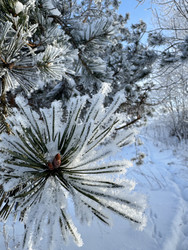 Similar image 22403644