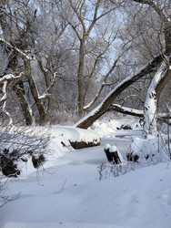 Similar image 22403647