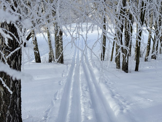 Similar image 22403650