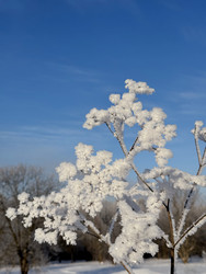 Similar image 22403652