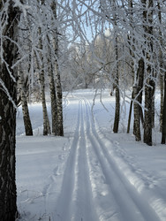 Similar image 22403653