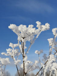 Similar image 22403657