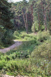 Similar image 22406130