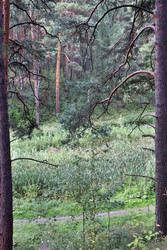 Similar image 22406132