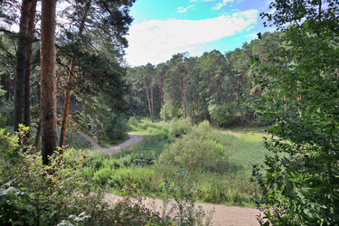 Similar image 22406136