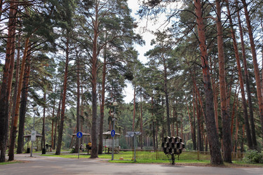 Similar image 22406137