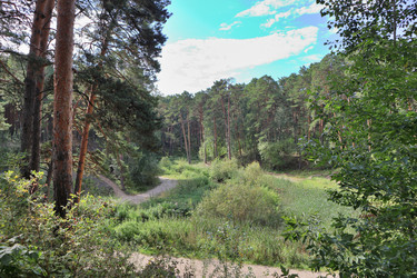 Similar image 22406138