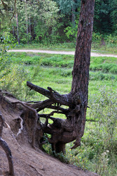 Similar image 22406140