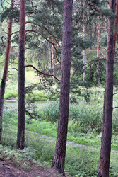 Similar image 22406142