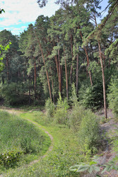 Similar image 22406157