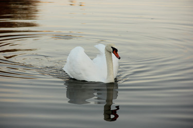 Similar image 22404570