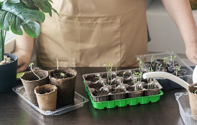 Similar image 22403736