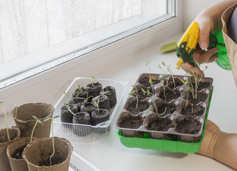 Similar image 22403737