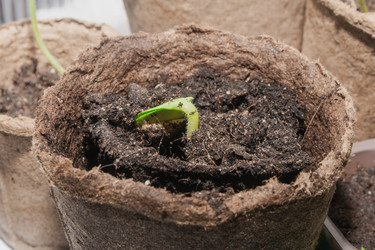 Similar image 22403738