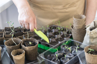 Similar image 22403739