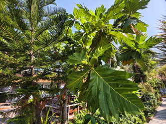 Similar image 22404763