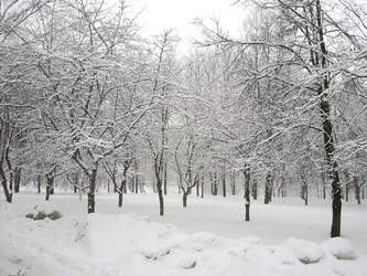 Similar image 22404309