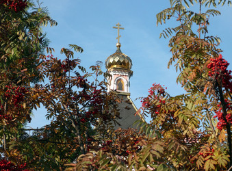 Similar image 22404310